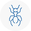 Ant Removals In Darlington