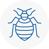Bed Bug Extermination In Darlington
