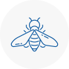 Bee Nest Removal Darlington