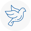 Bird Prevention Darlington