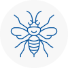 Darlington Hornet Nest Removals