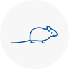 Mice Exterminators In Darlington