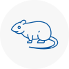 Rat Control Darlington