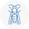 Darlington Wasp Nest Removal